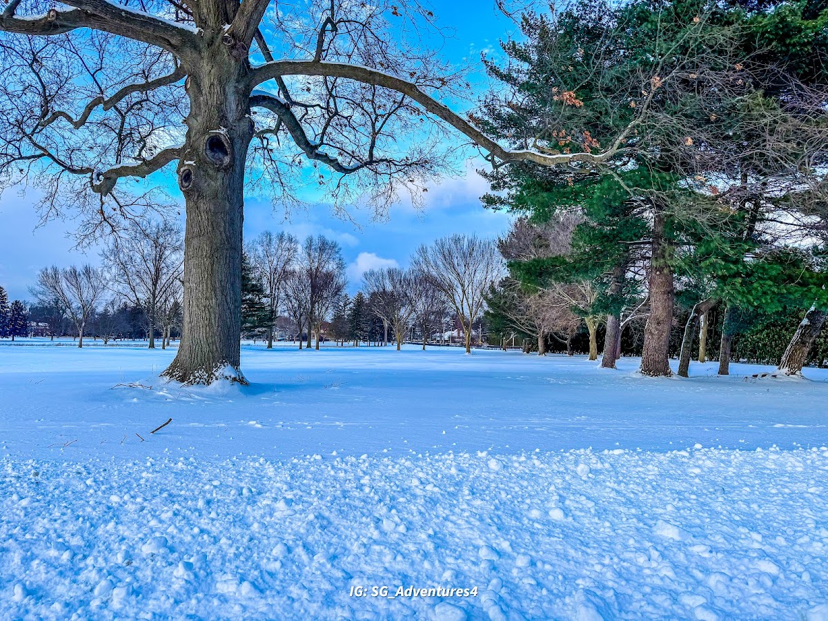 Country Club of Detroit - Photo 3