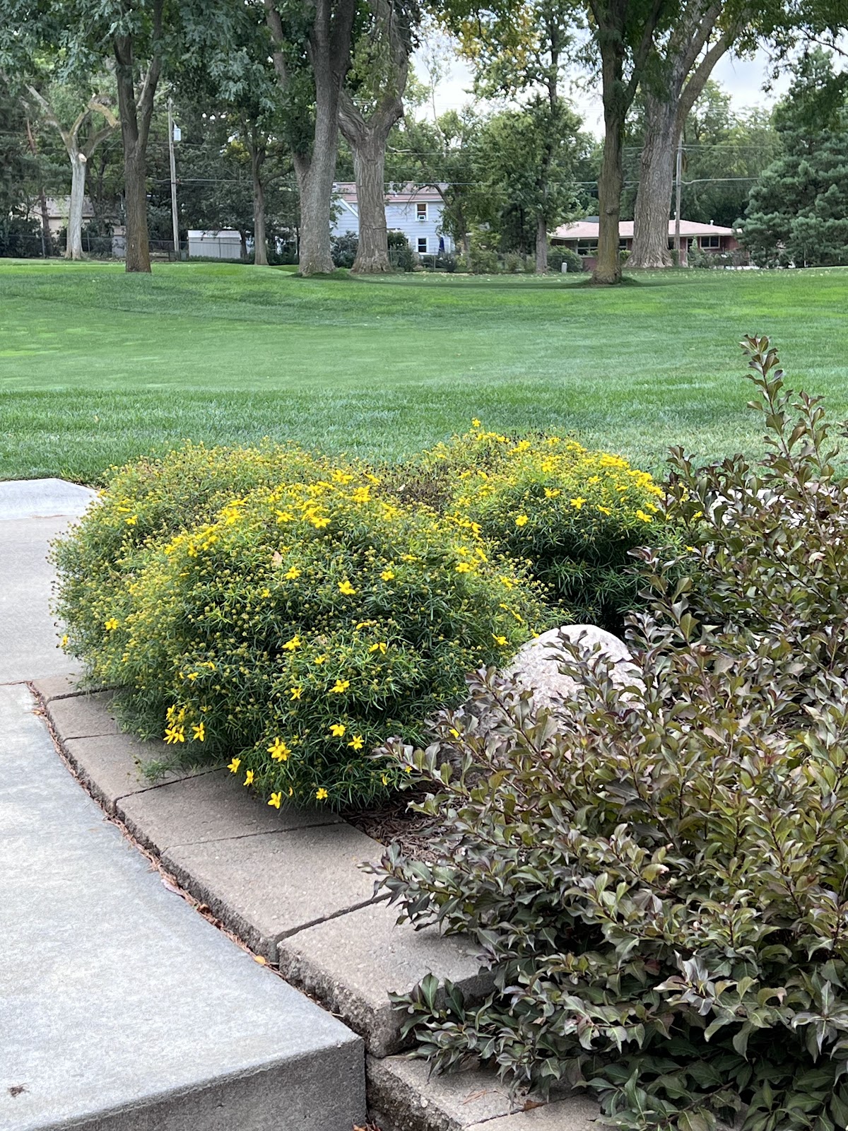 Country Club of Lincoln - Photo 3