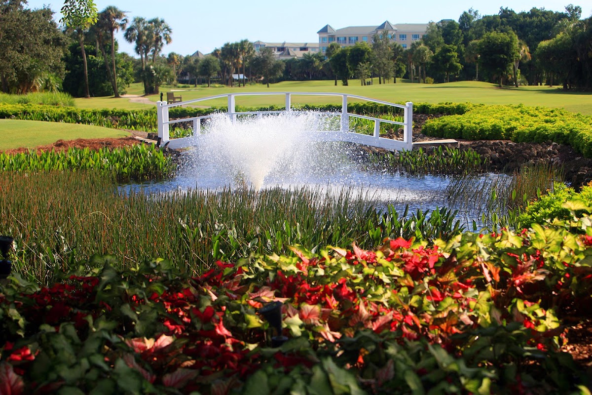 Country Club of Naples - Photo 3