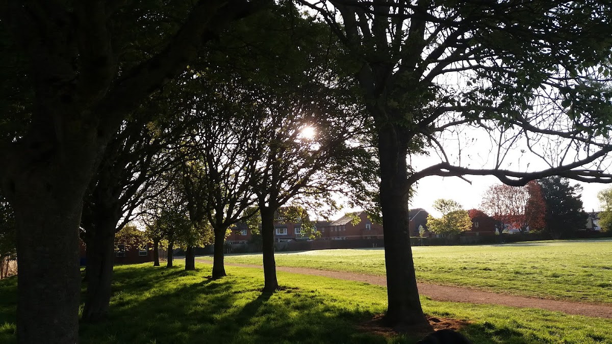 Cowick Barton Playing Fields - Photo 2