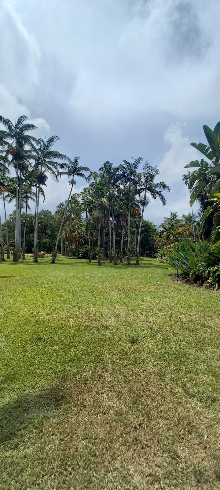 Crandon Park Tennis Center - Photo 3