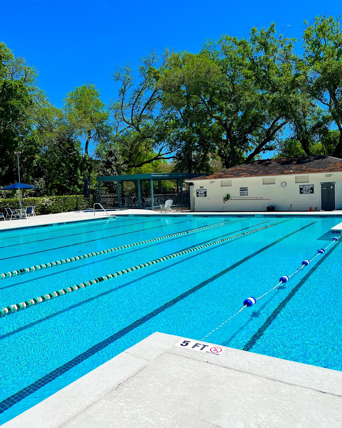 Creekside Tennis & Swim Club - Photo 2