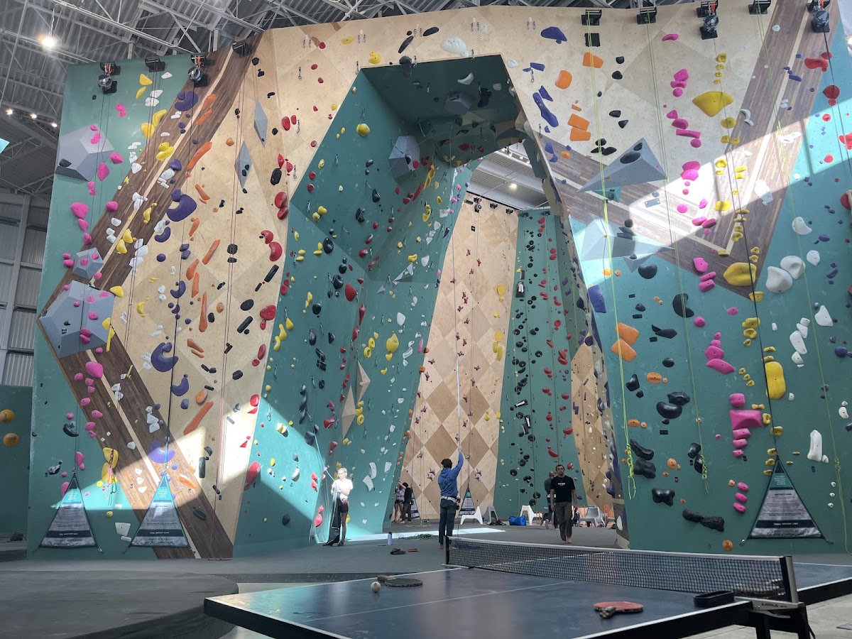 Crux Climbing Center Pflugerville - Photo 2