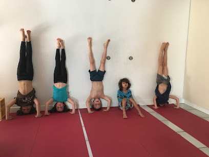 Dalaya – Centre de Yoga Iyengar®