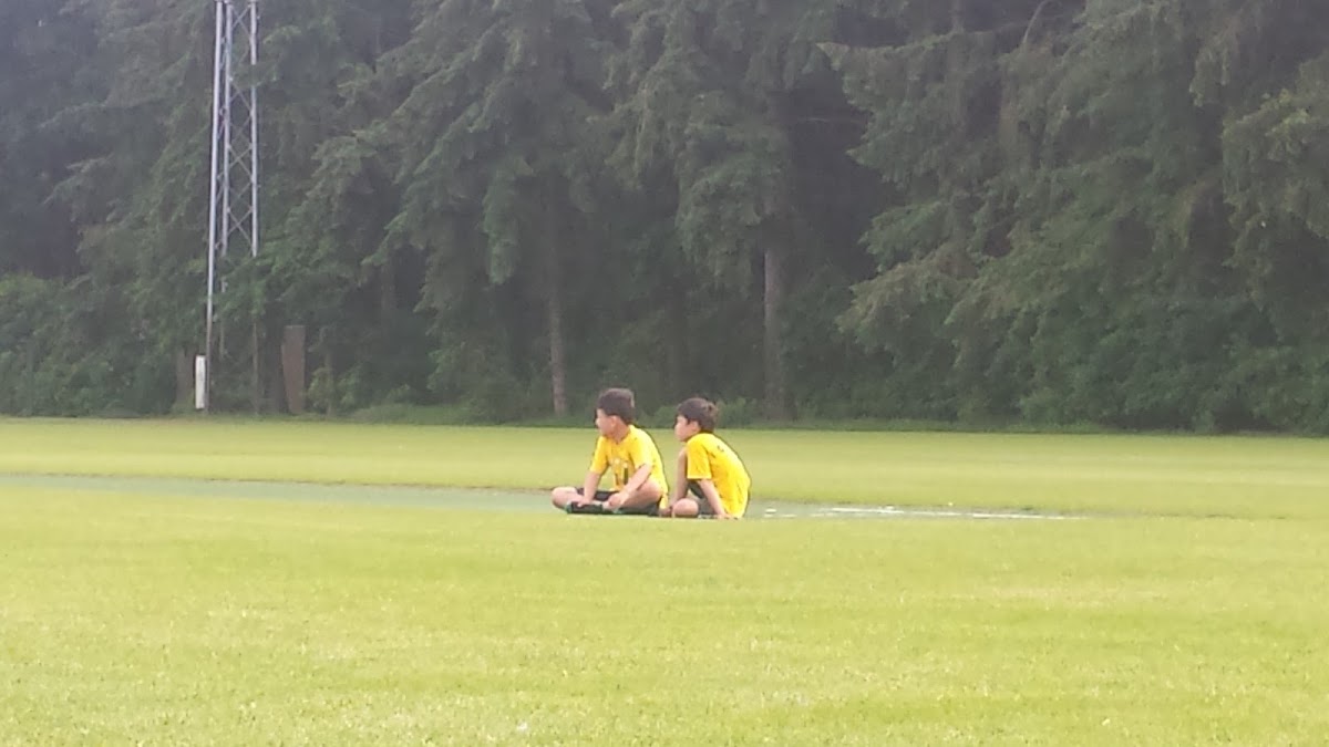 De Heihoef - Photo 2