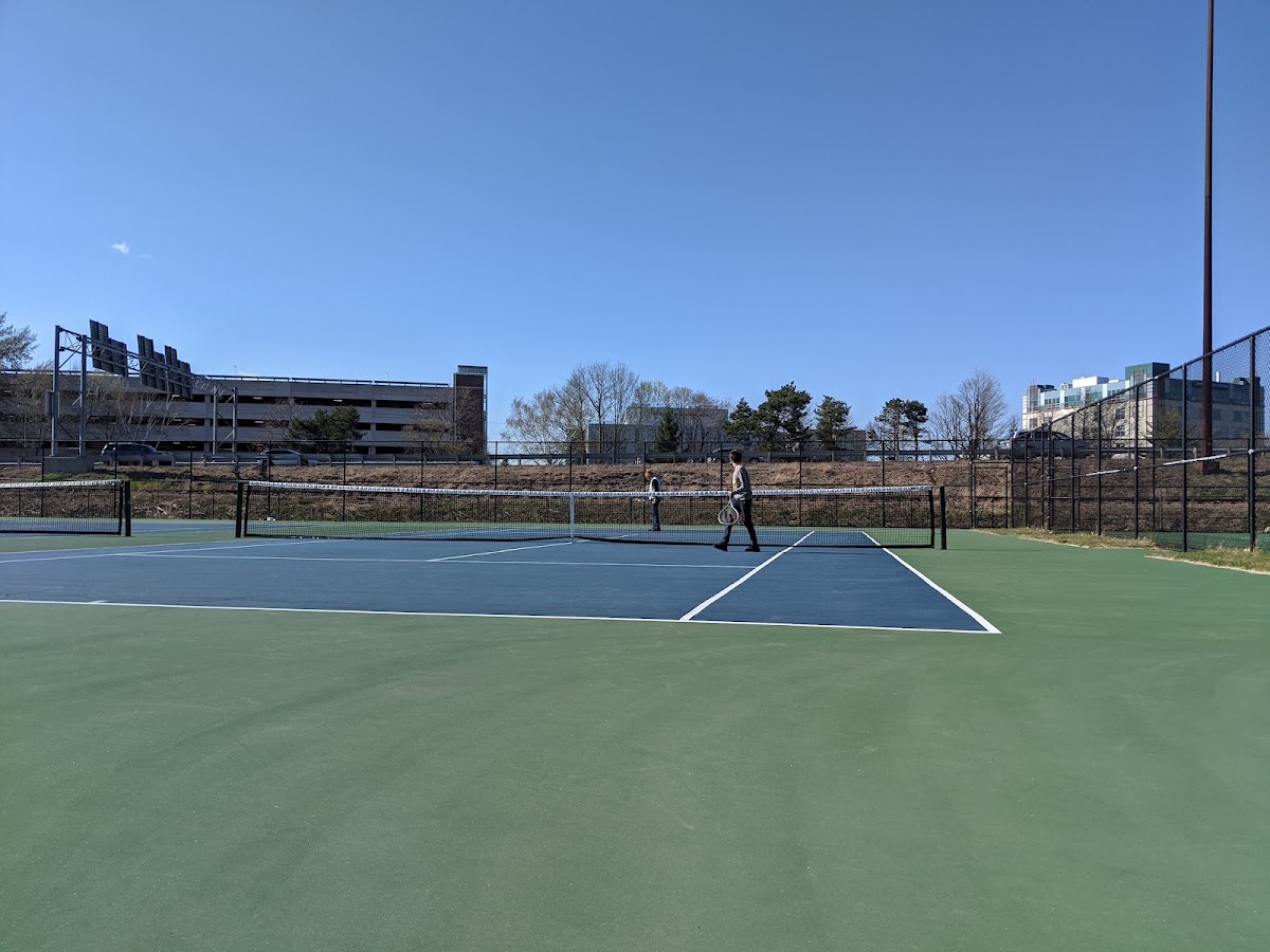 Deering Oaks Park pickle ball courts