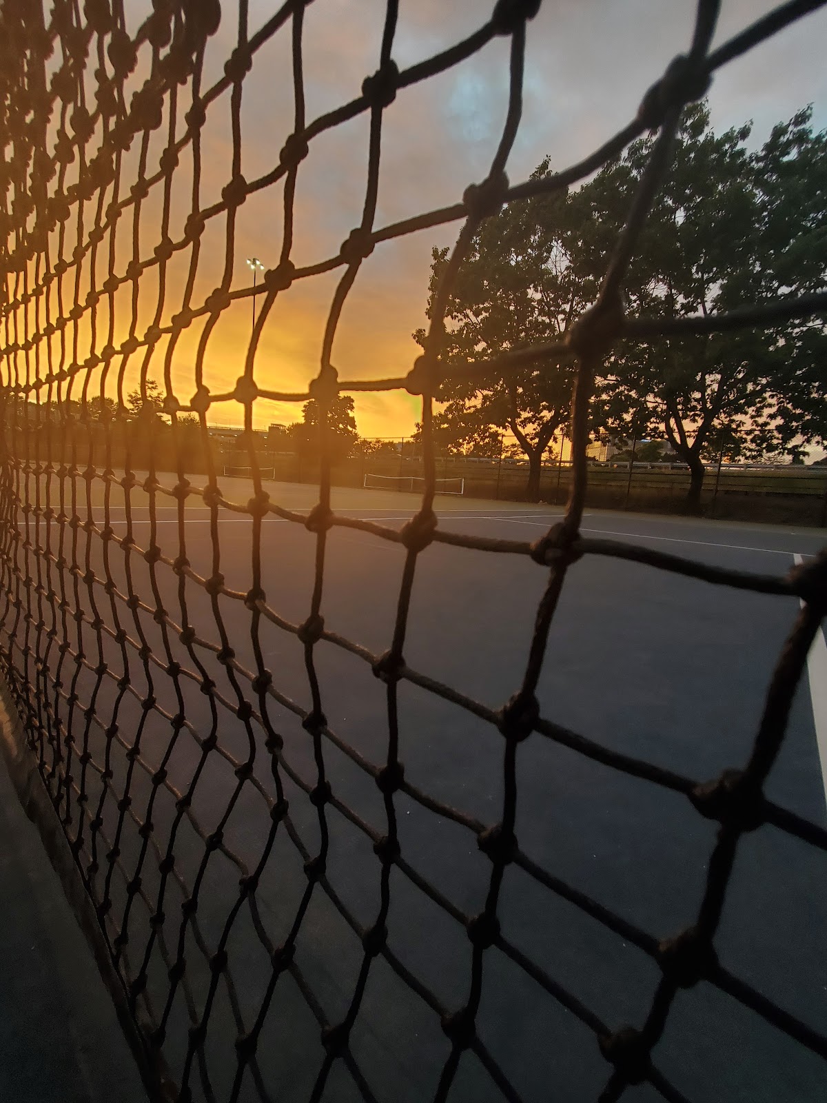 Deering Oaks Park pickle ball courts - Photo 2
