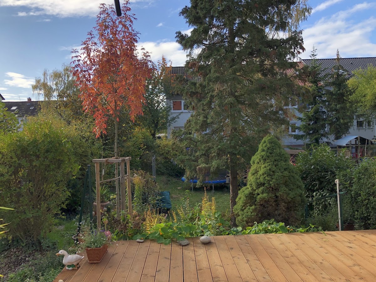 Deltastudio Mannheim Raum für Körpertraining und Haltungscoaching - Photo 3
