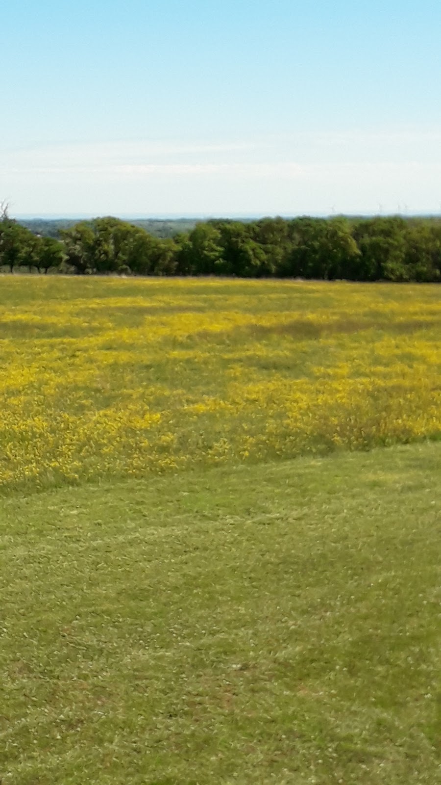 Dene House Farm - Photo 3