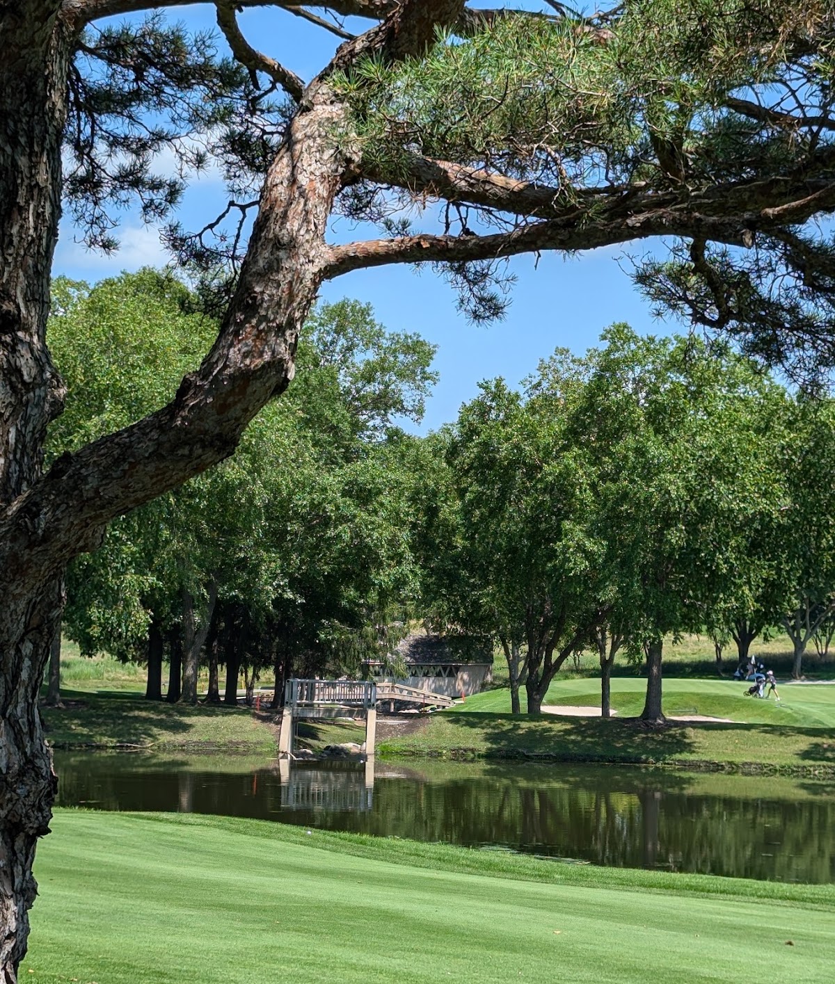 Des Moines Golf and Country Club - Photo 3
