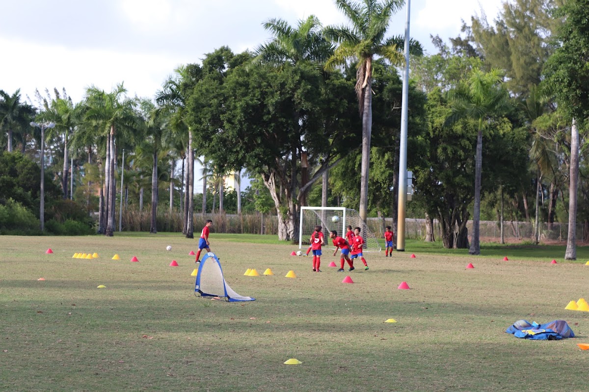 Development Soccer Academy
