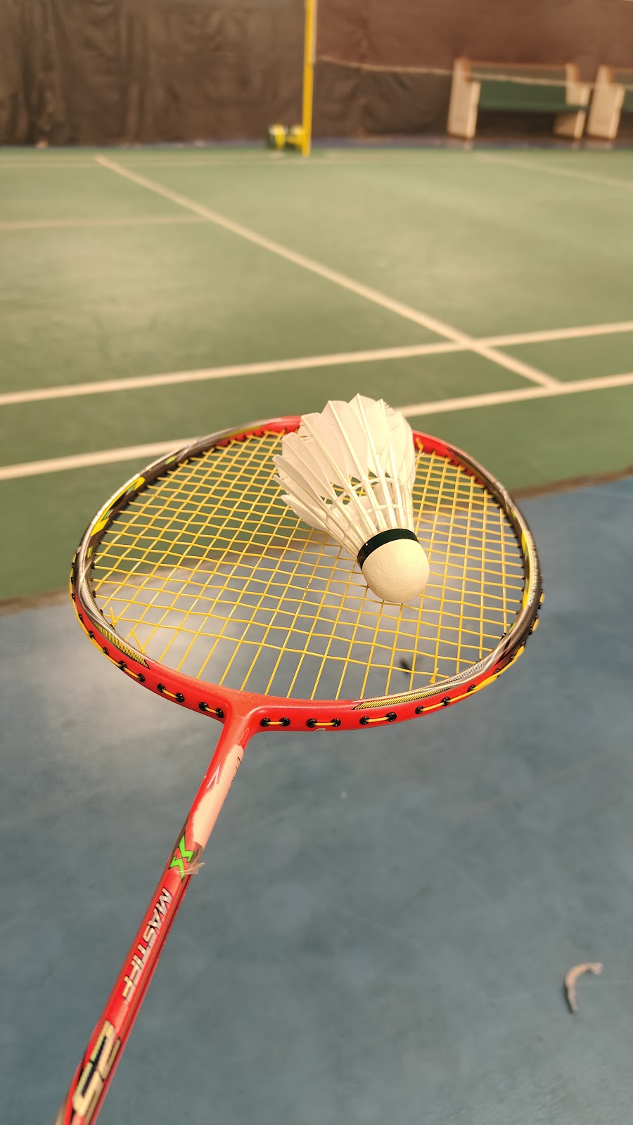 DFW Badminton Center - Photo 2