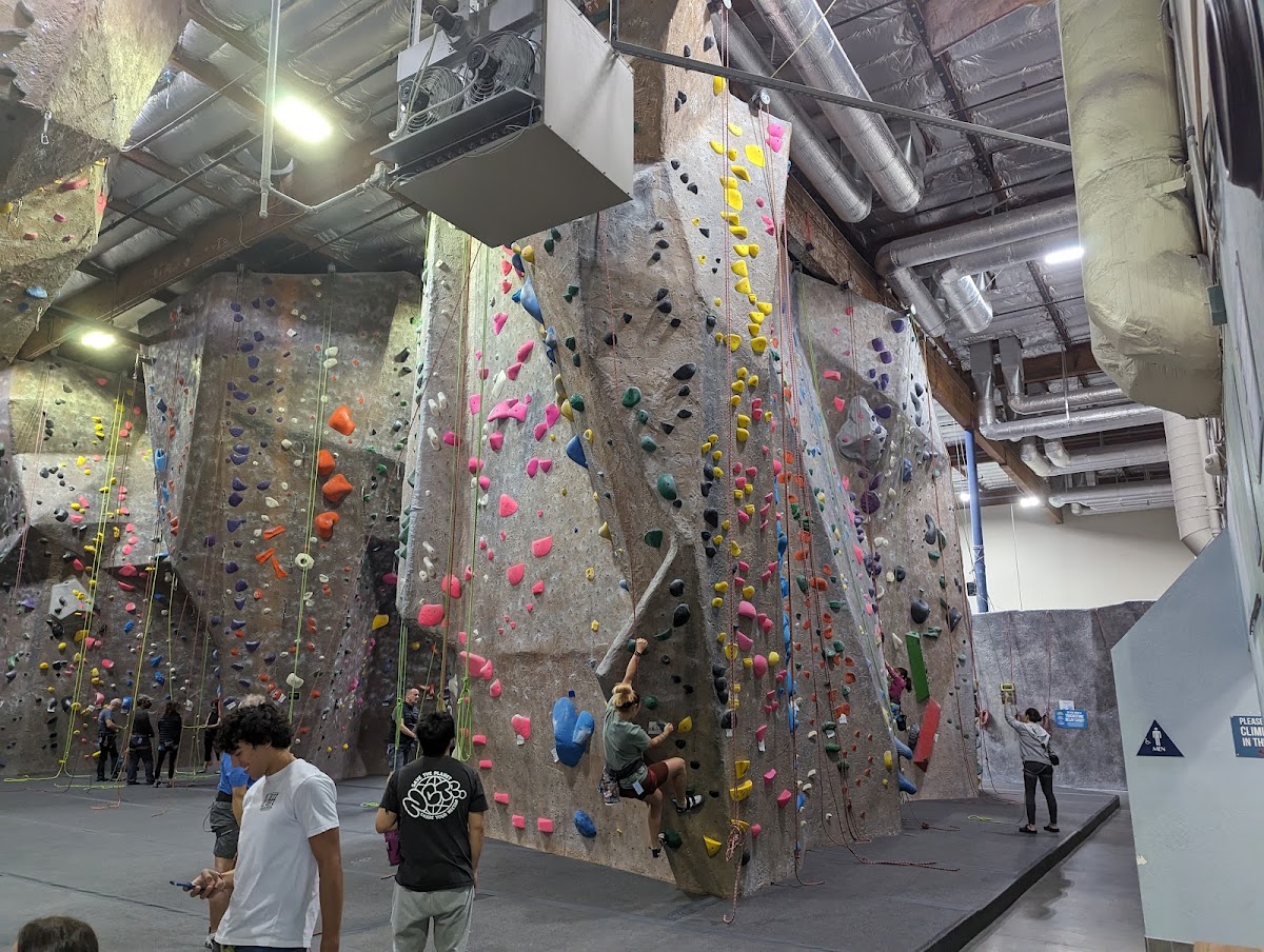 Diablo Rock Gym - Photo 2
