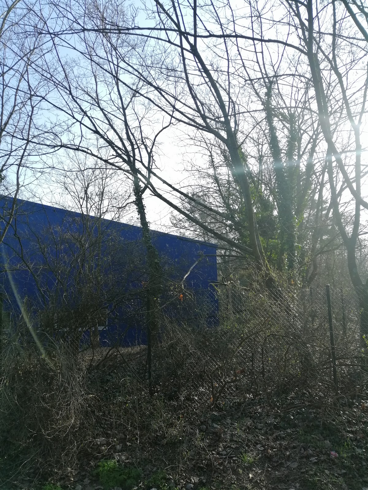 DJK - Tennisverein Mainzer Sand e.V. - Photo 3