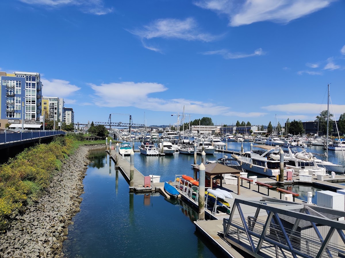 Dock Street Marina - Photo 1
