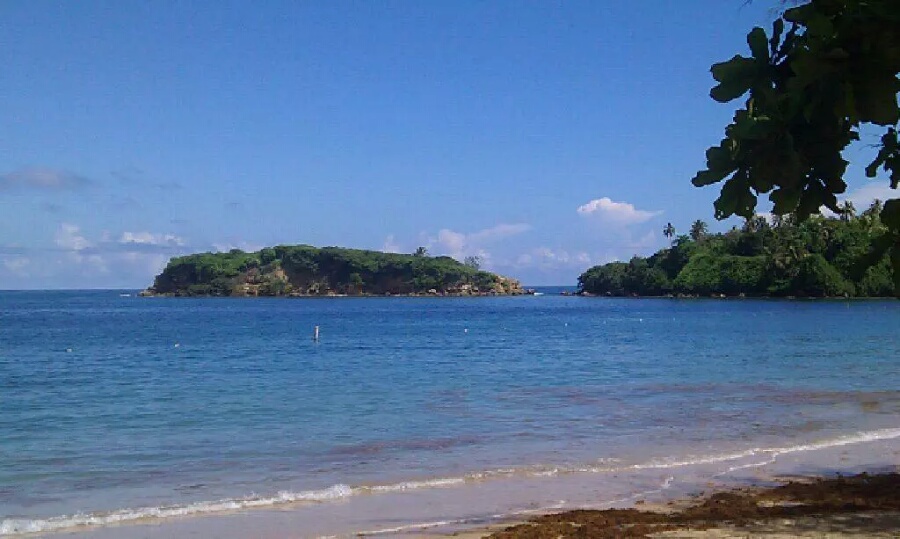 Dorado Beach Resort & Club - Photo 2
