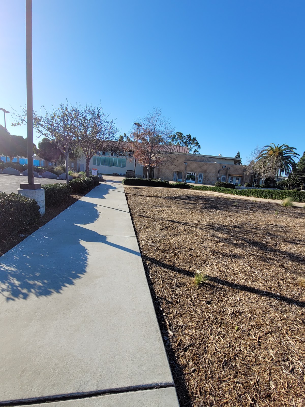 Downtown Recreation Center - Photo 3