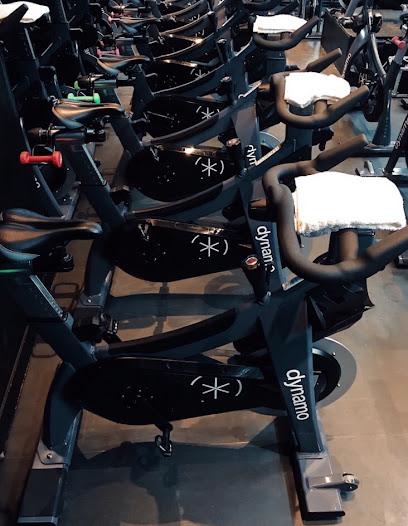 Dynamo Cycling - Photo principale