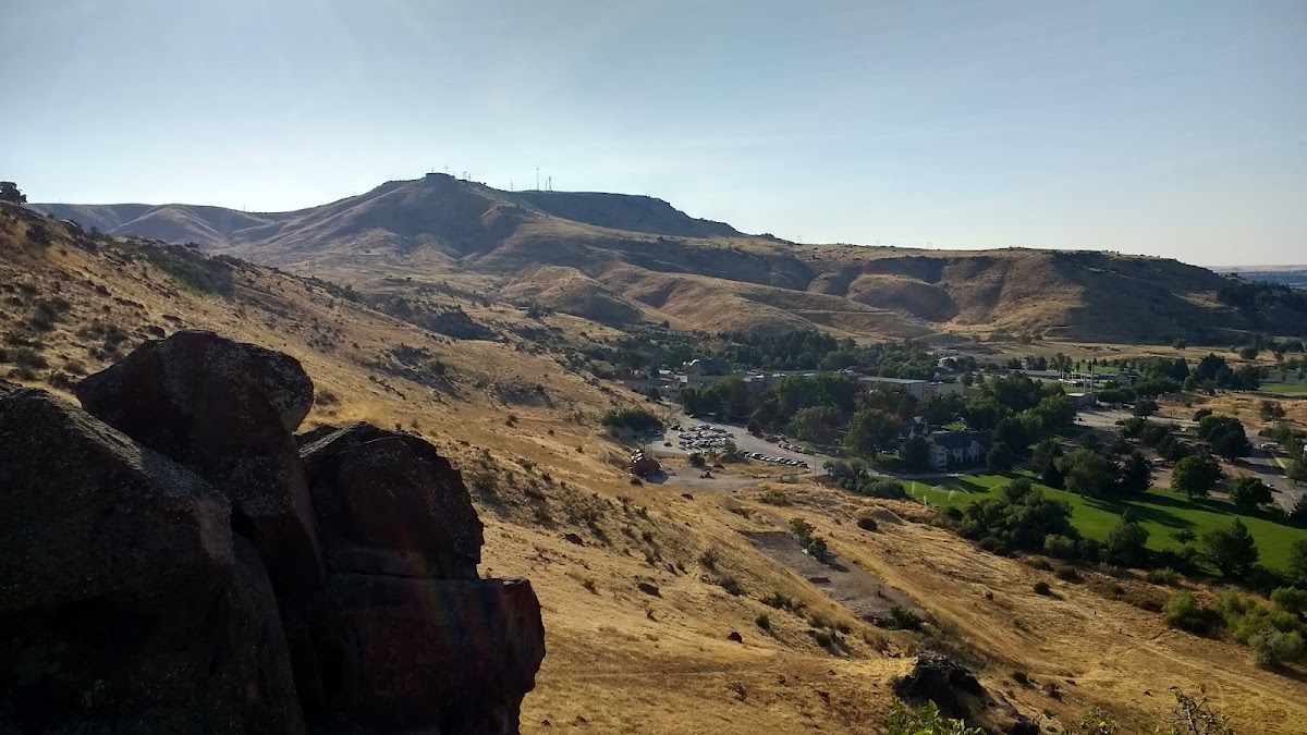 Eagle Rock Park - Photo 3