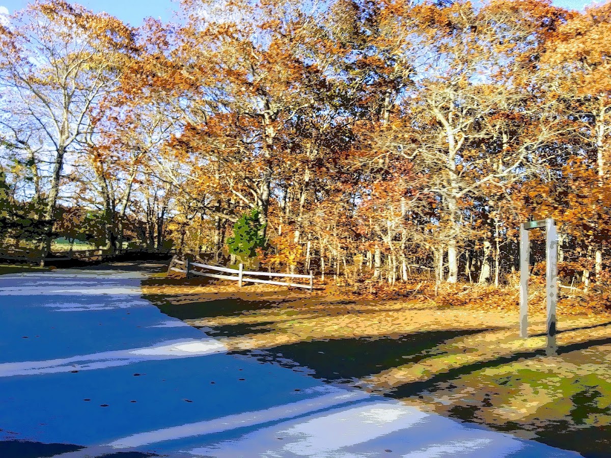 East Hampton Tennis Club - Photo 2