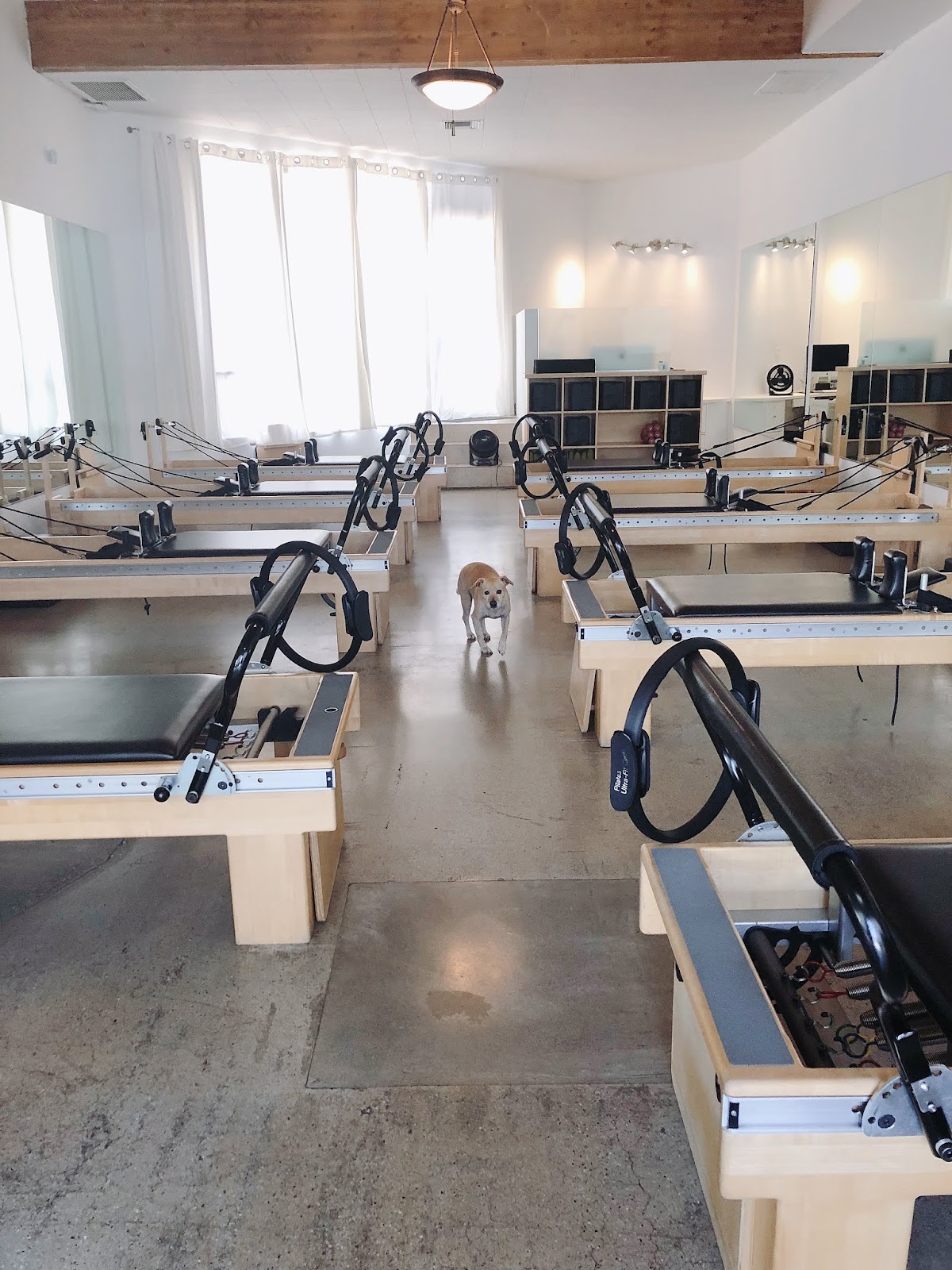 Ecore Fitness - Photo 3