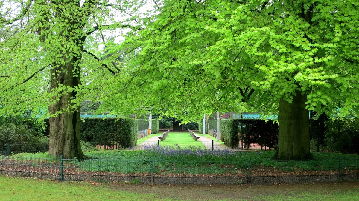 Eindhovense Lawn Tennis-Vereniging - Photo 2