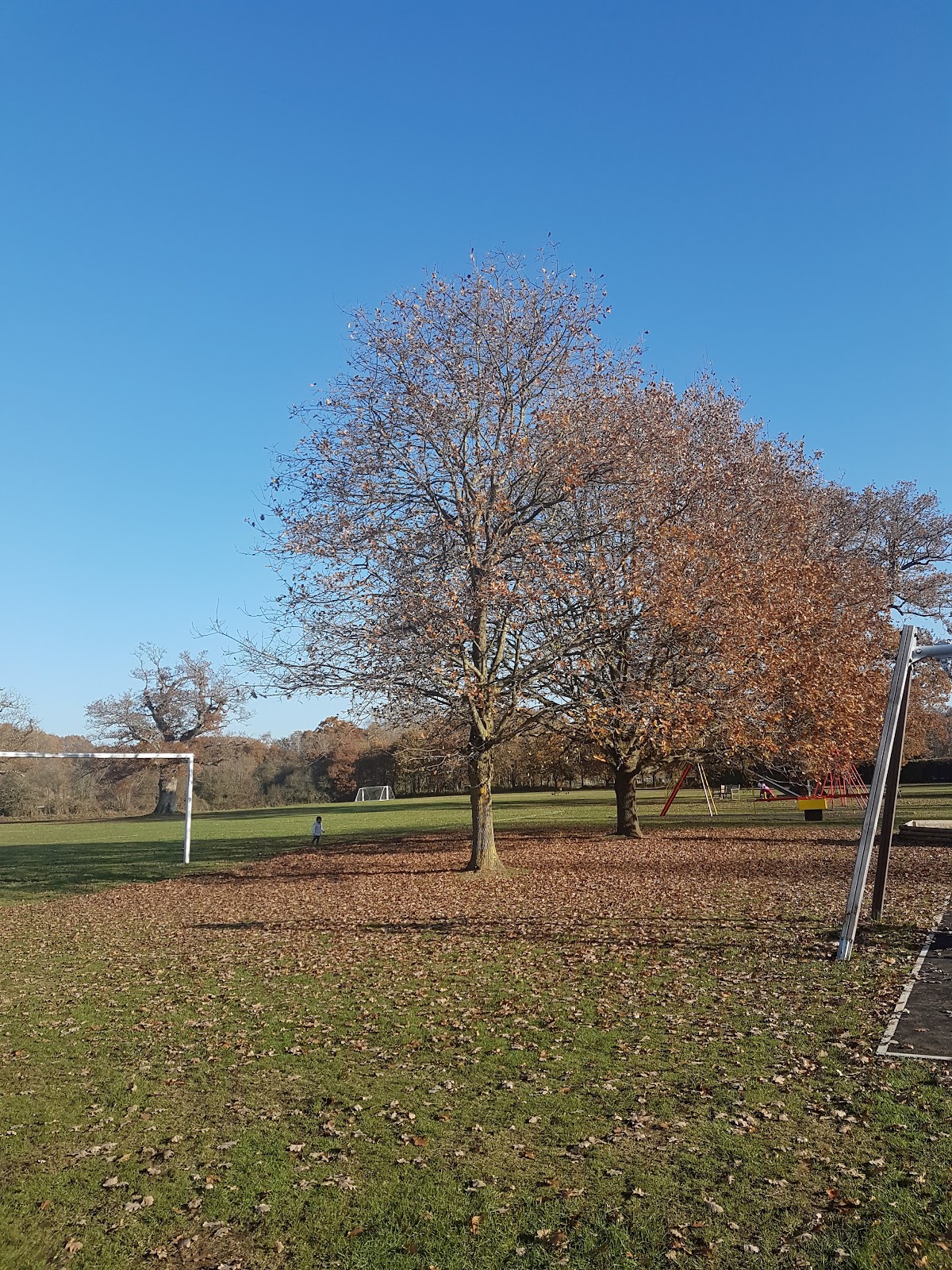 Elstead Village Tennis Club - Photo 2