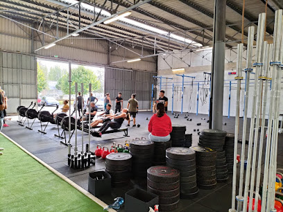 Everyone Training - Photo principale