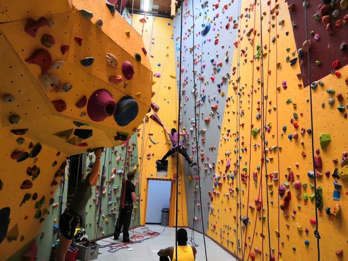 Evolution Verticale - Photo 1