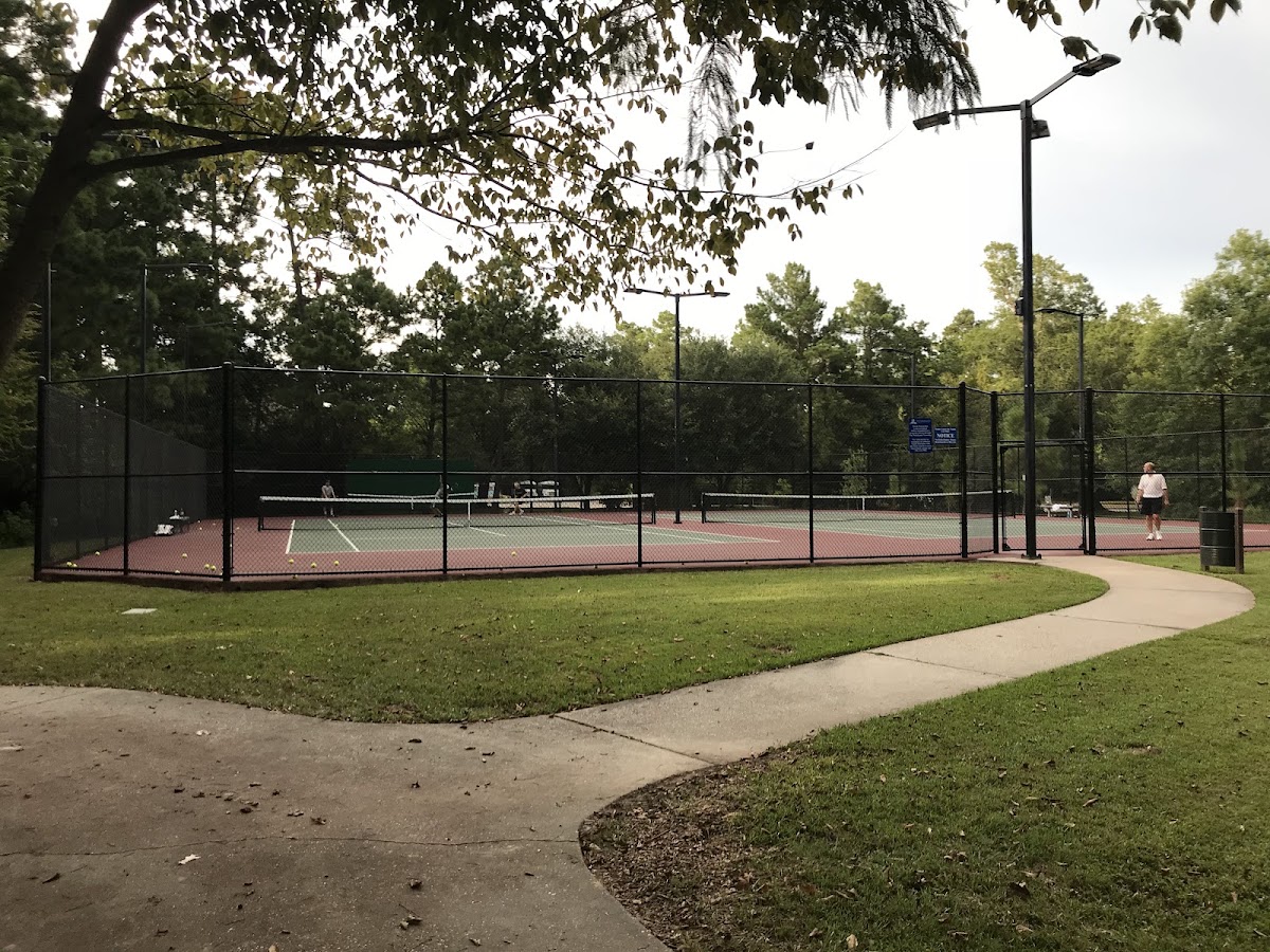 Falconwing Park Pickleball and Tennis Courts - Photo 3