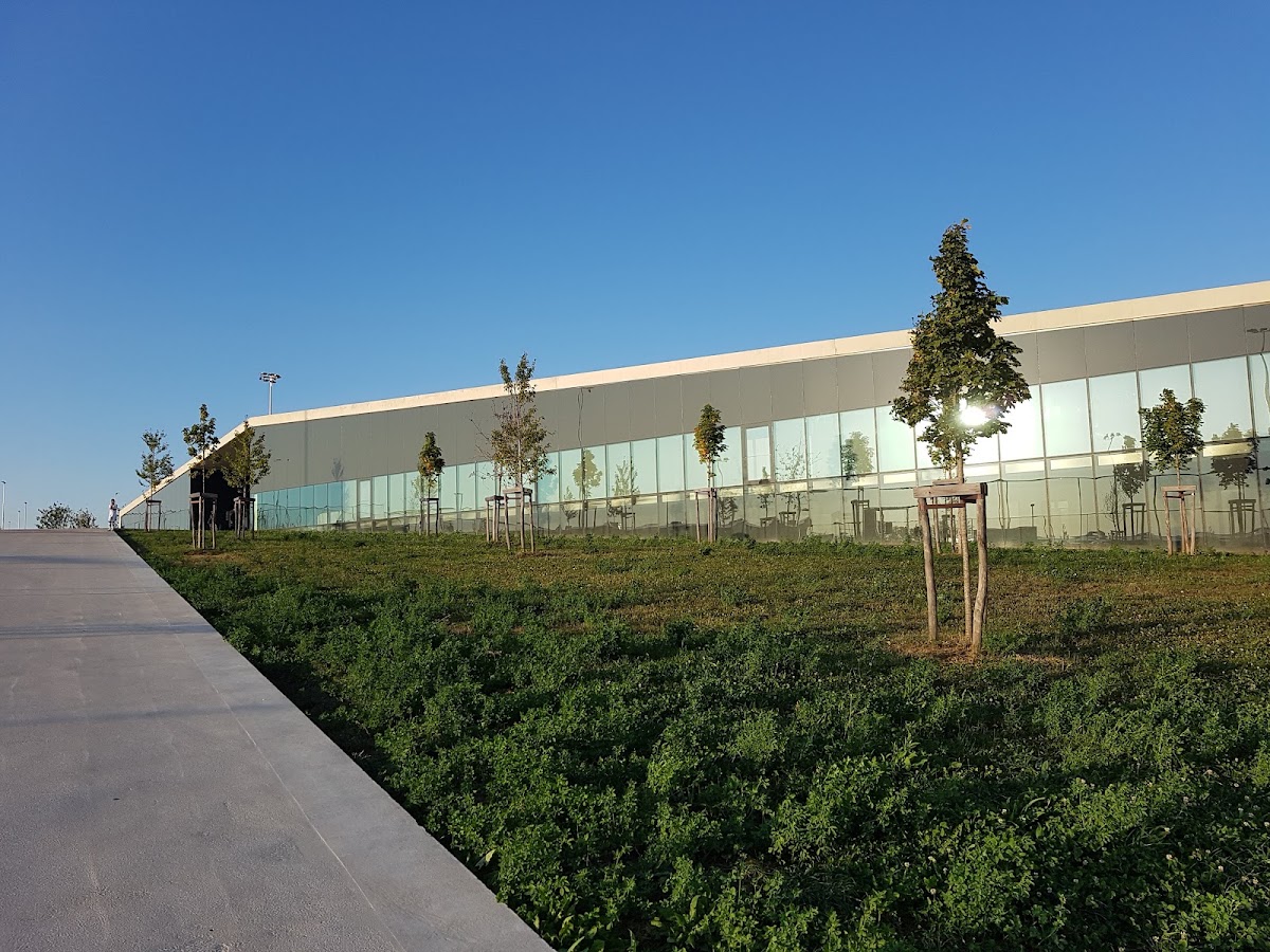 FC Concordia Lausanne