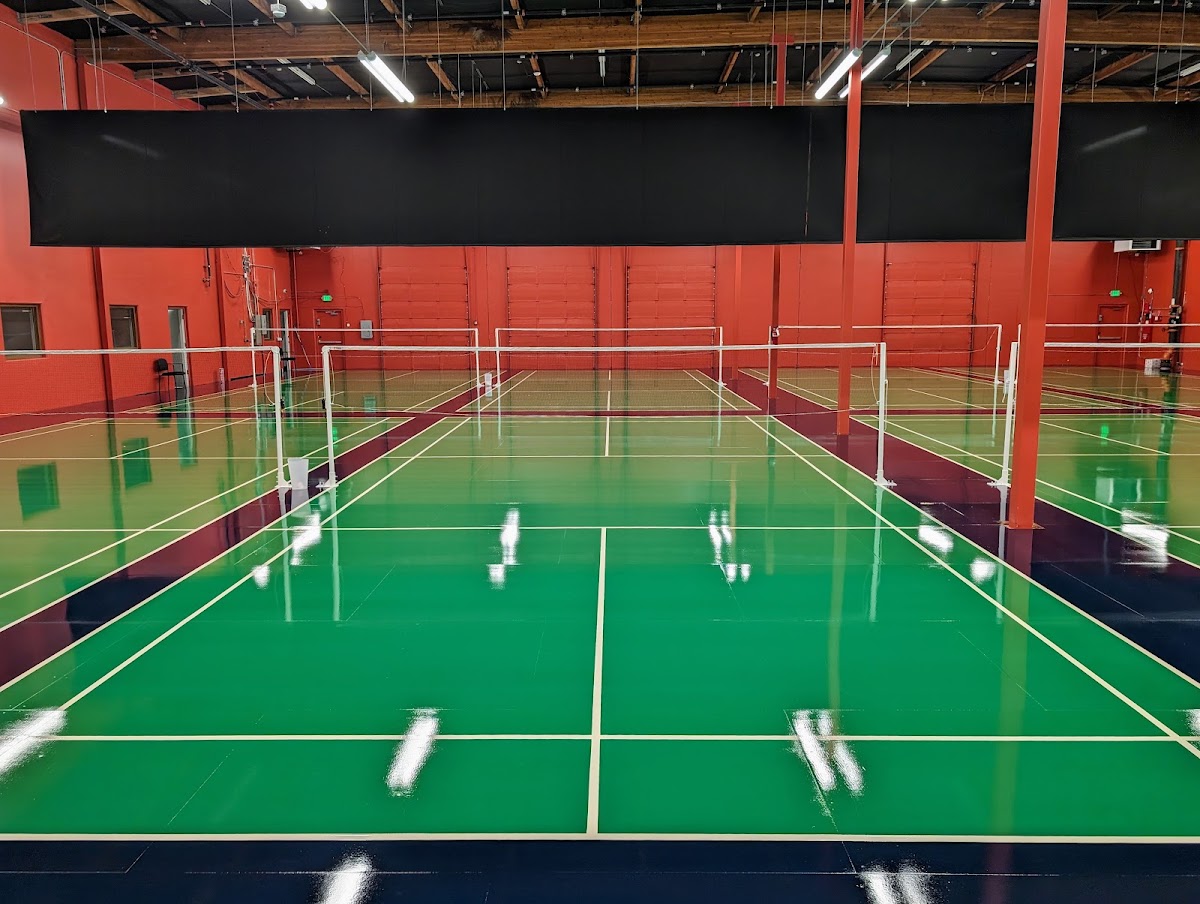 FeatherFlight Badminton - Bellevue