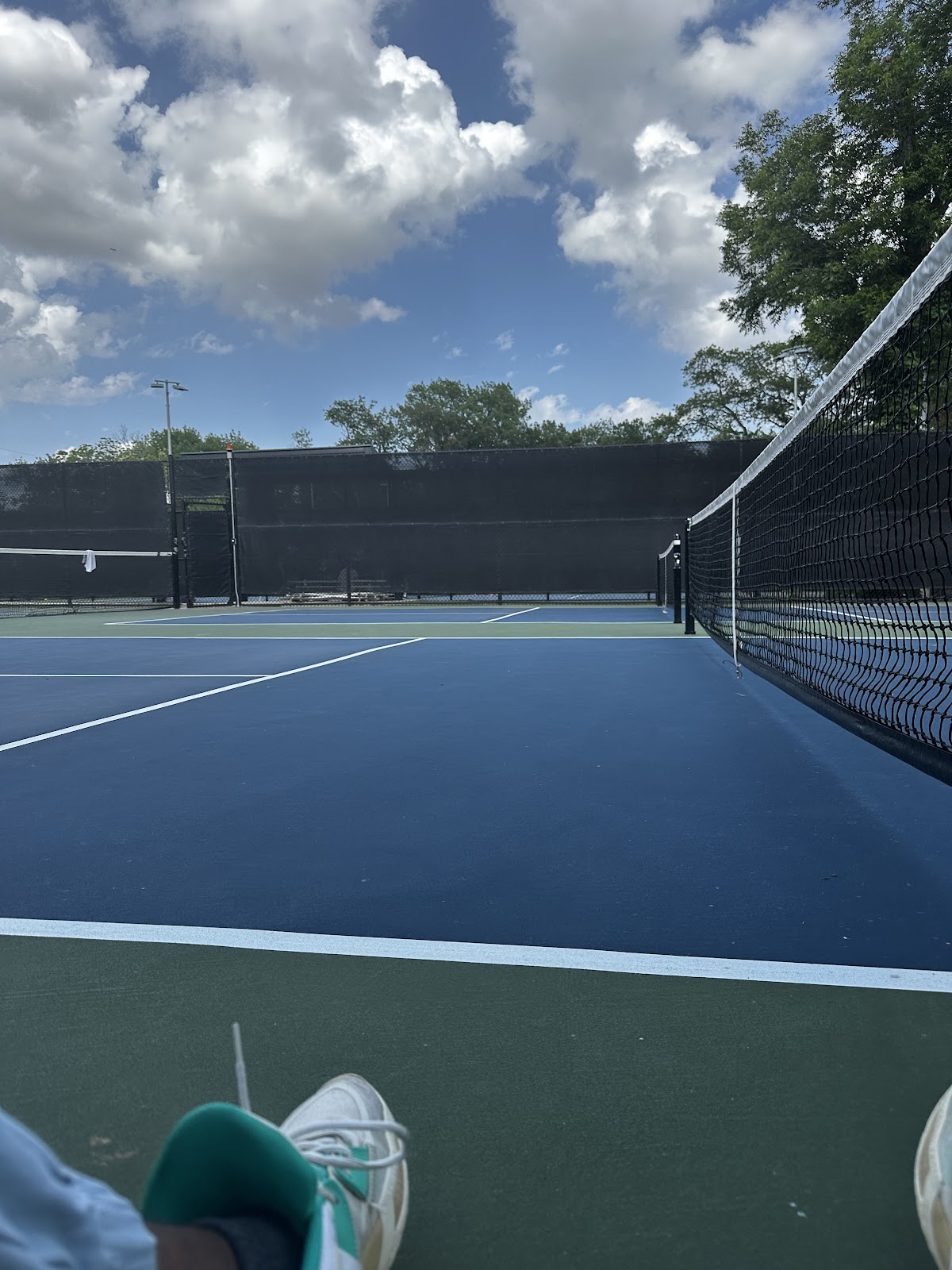 Finch Park Pickleball Court - Photo 3
