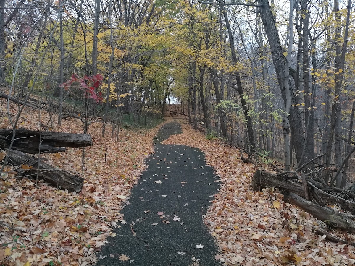 Forest Hill Park Tennis Courts - Photo 3