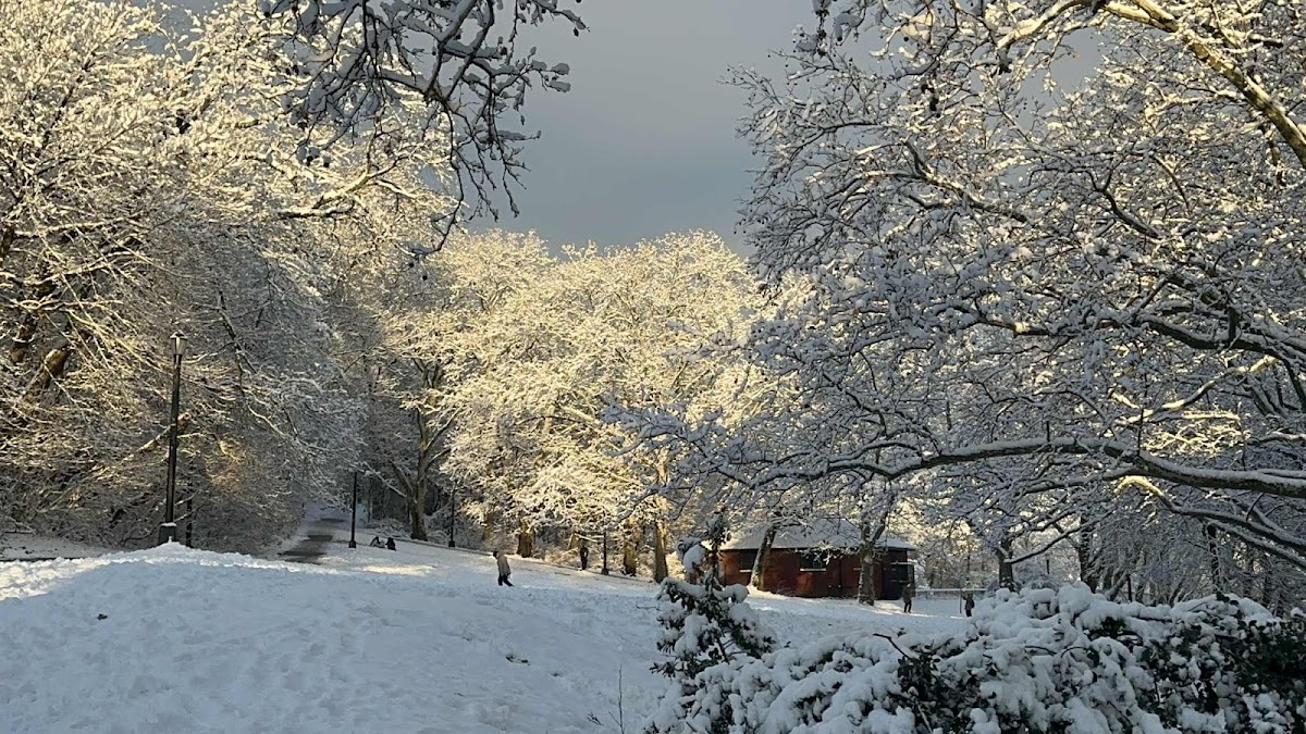 Forest Park Tennis Courts - Photo 3
