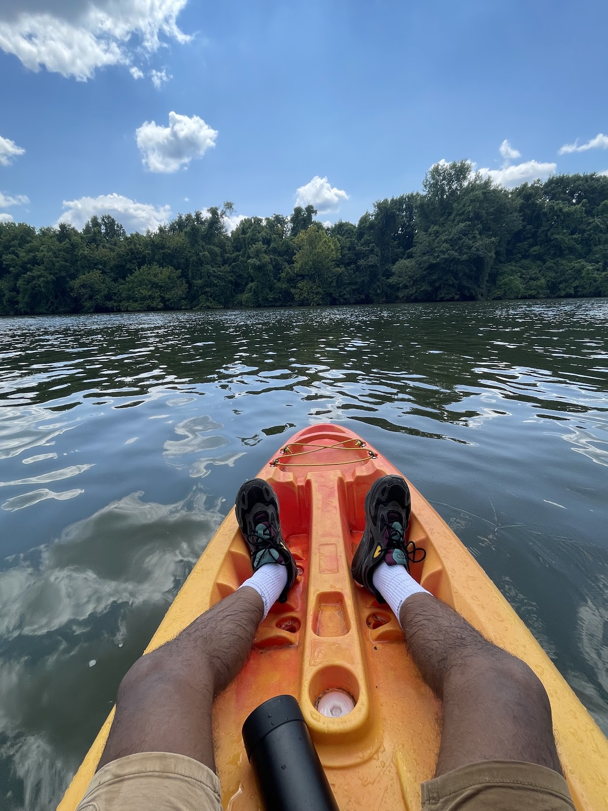 Forrest Paddle Boarding - Photo 2