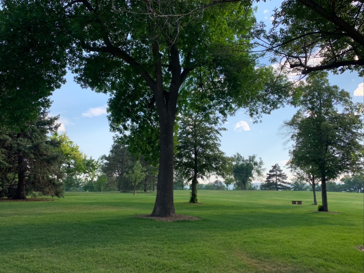 Fort Collins City Park - Photo 1
