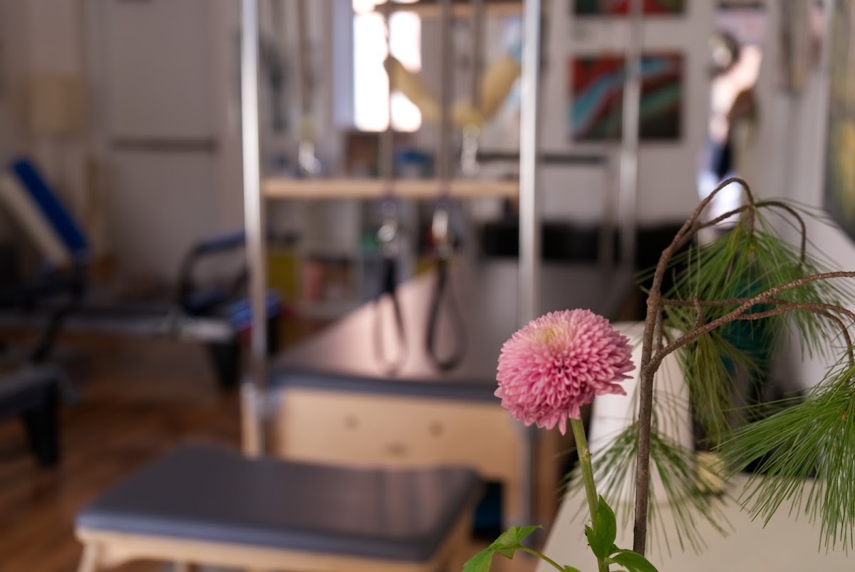 Fort Hunt Pilates - Photo 2