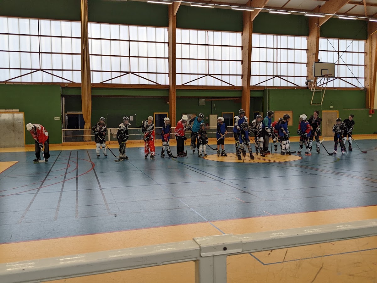 Fox Roller Club - Photo 3