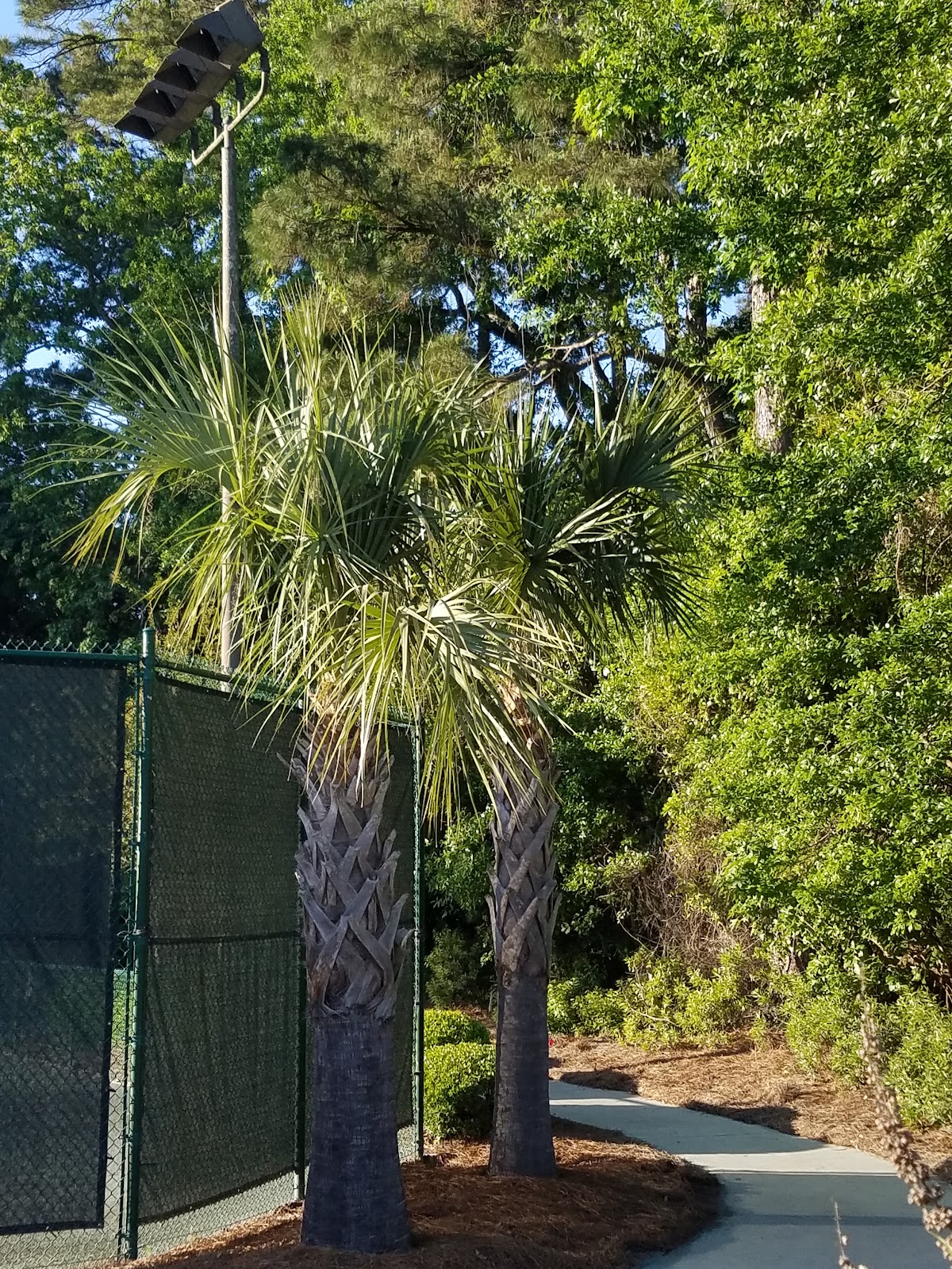 Franklin Creek Sports Complex at The Landings Golf & Athletic Club - Photo 3