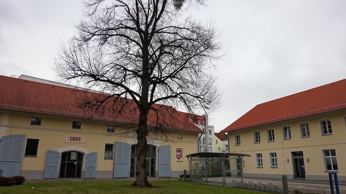 Freie Turnerschaft München Süd - Photo 3