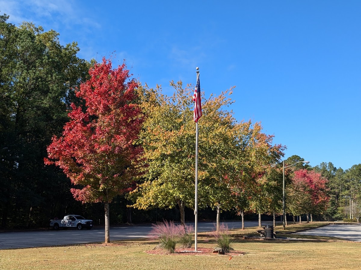 Fullers Park - Photo 3