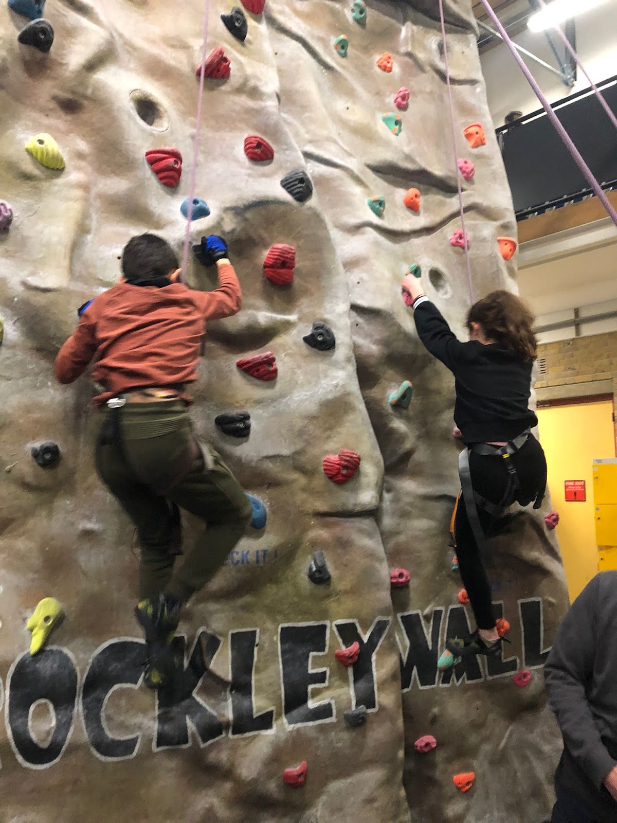 Geckos Climbing Ltd