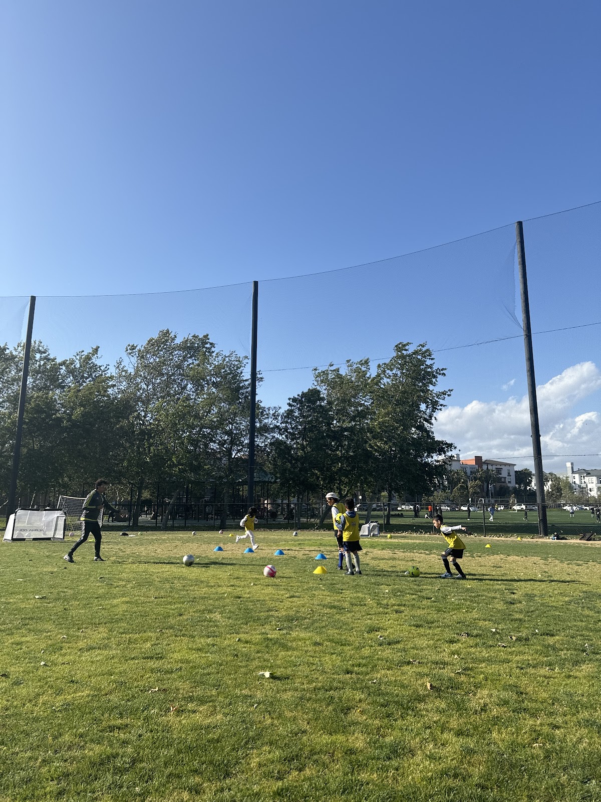 Ginga Soccer Usa - Playa Vista - Photo 3