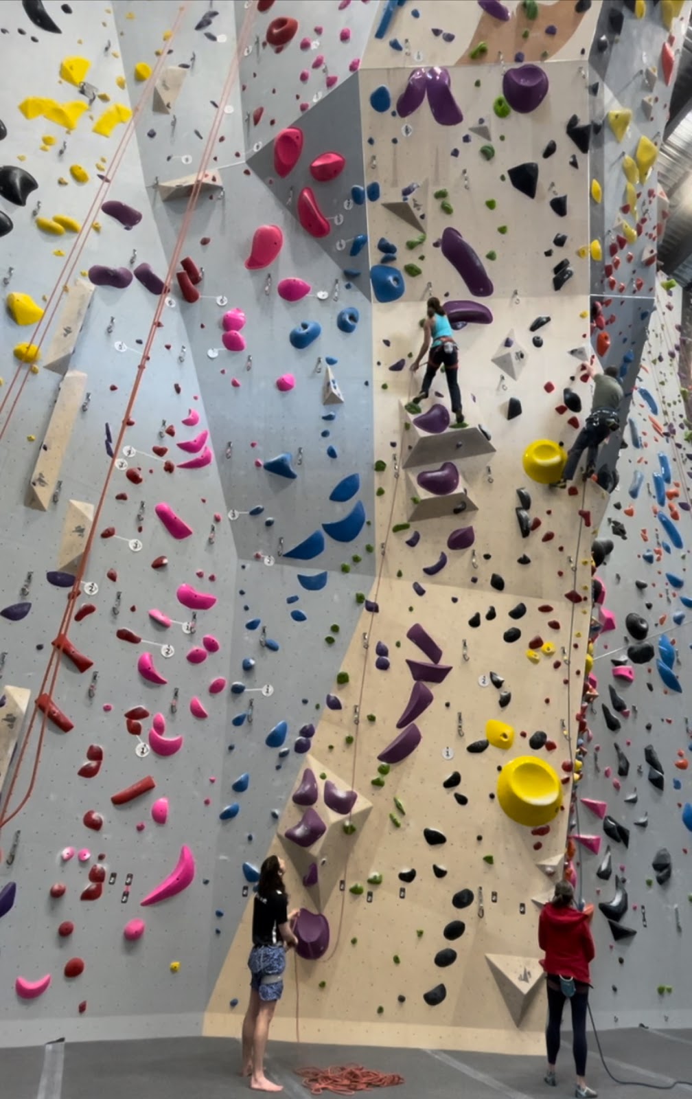 Goat Climbing Gym - Photo 3