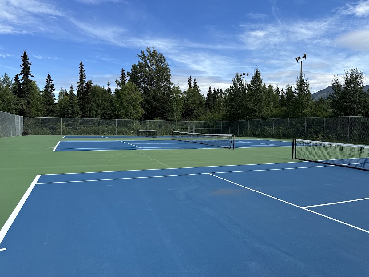 Goldenview Middle School Tennis Courts - Photo 1