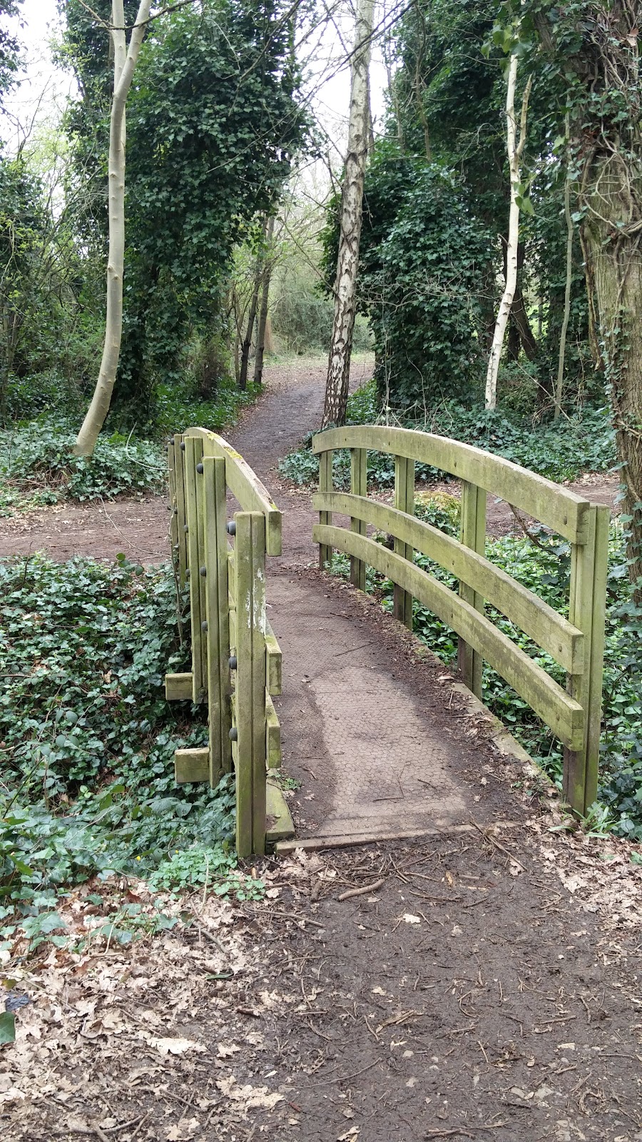 Grangewood Park Residents Club - Photo 2