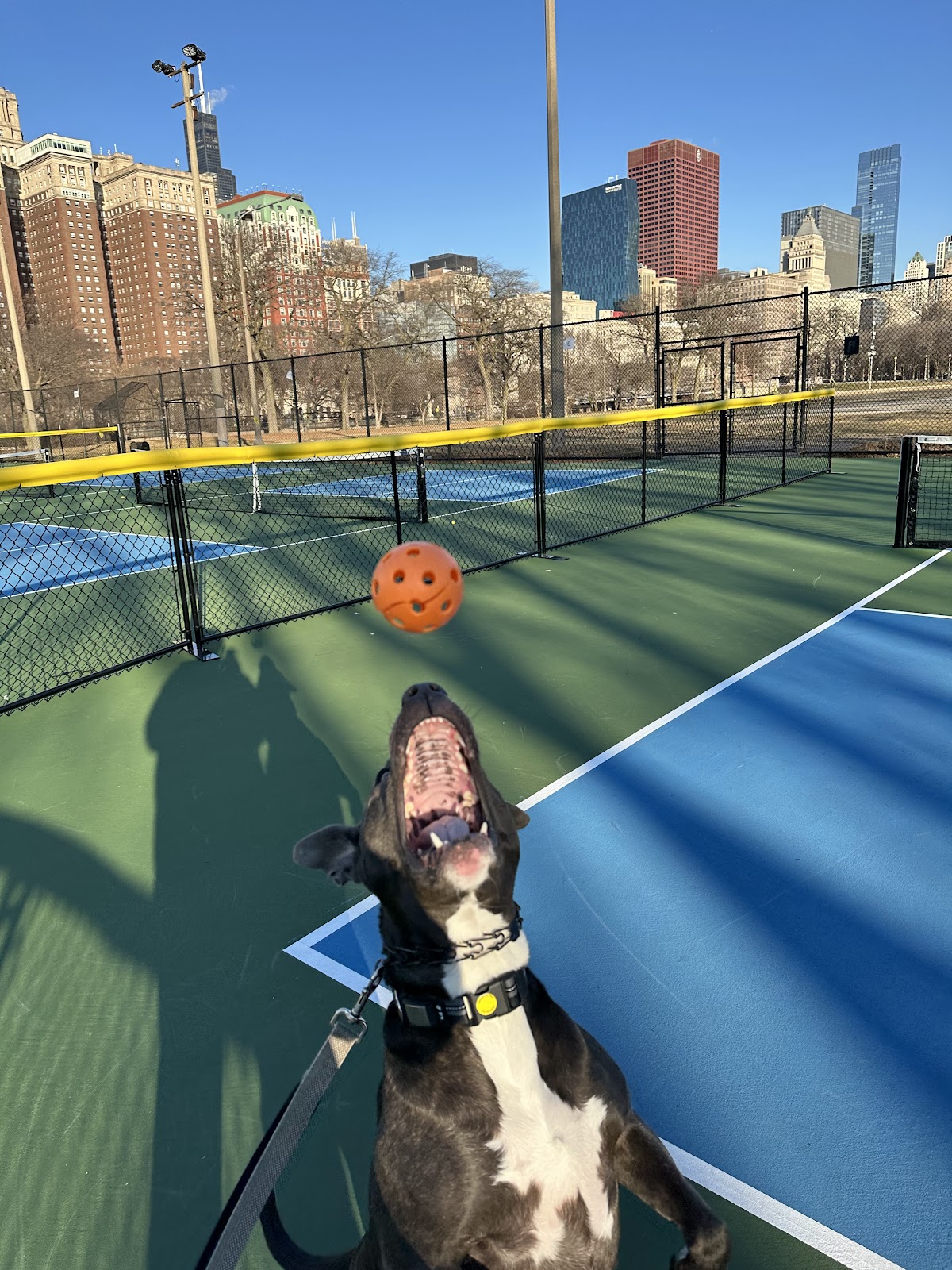 Grant Park Pickleball Courts - Photo 3