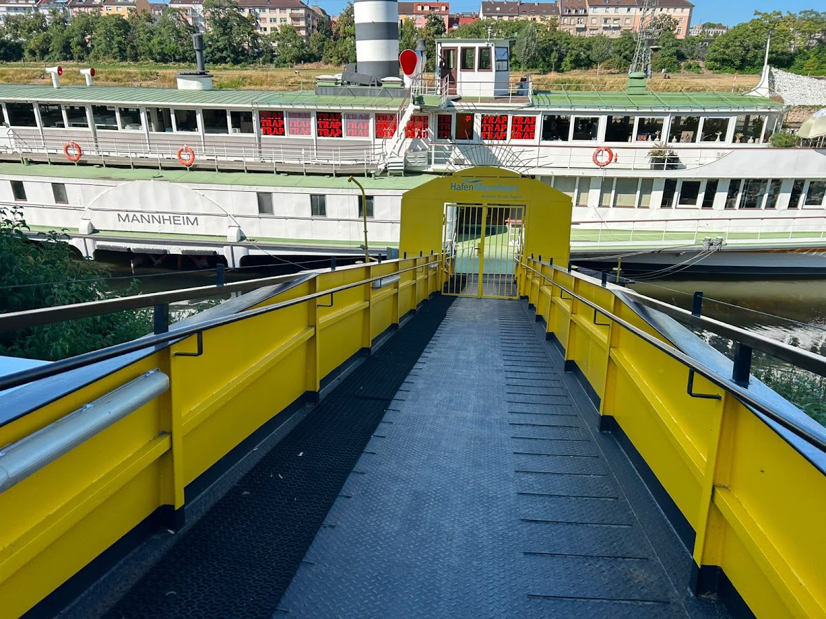 Green Deck Pilates - Photo 3