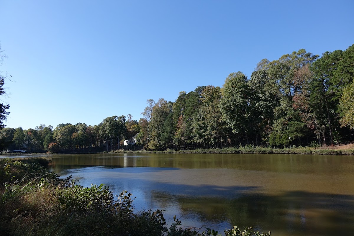 Greystone Swim & Racquet Club - Photo 3
